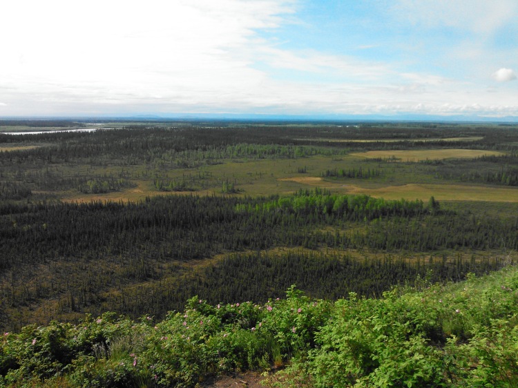 Overlooking the Tanana River Valley